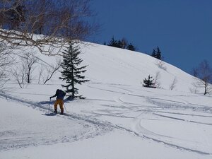 20250418_115601.jpg