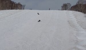 05-01-2025_01.jpg