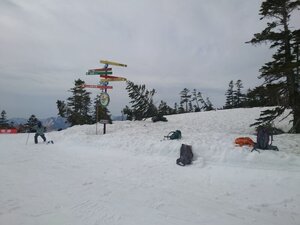 20250428_090219.jpg