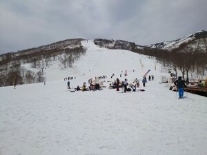 20250428_105809.jpg