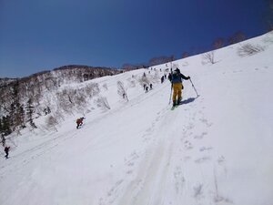 20250503_100737.jpg