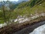 20250505_163740.jpg