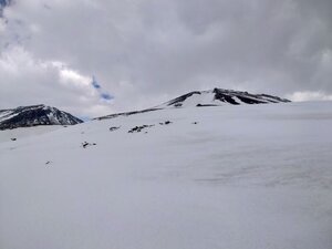 20250521_145514.jpg