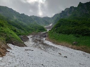 20250712_143453.jpg