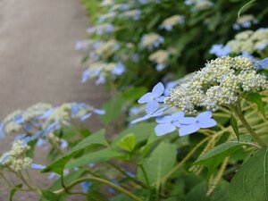 20250712_160744.jpg