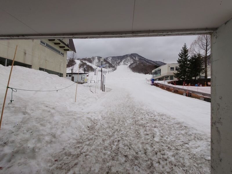 http://ayu2.com/naeba/naebaphoto/20250406_093050.jpg