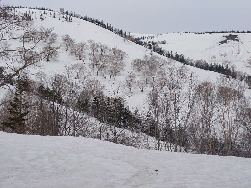 http://ayu2.com/naeba/naebaphoto/20250428_103446.jpg