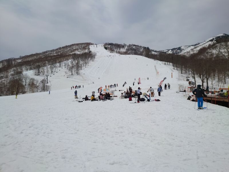 http://ayu2.com/naeba/naebaphoto/20250428_105809.jpg