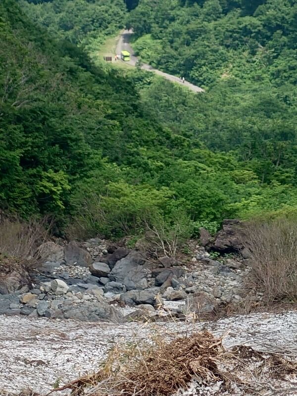http://ayu2.com/naeba/naebaphoto/20250621_124447.jpg