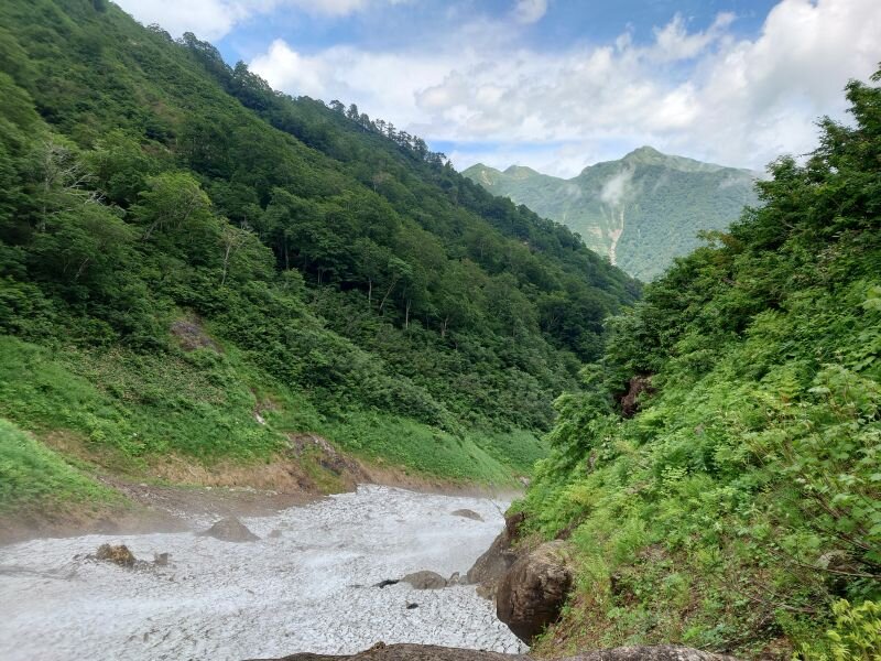 http://ayu2.com/naeba/naebaphoto/20250712_122807.jpg