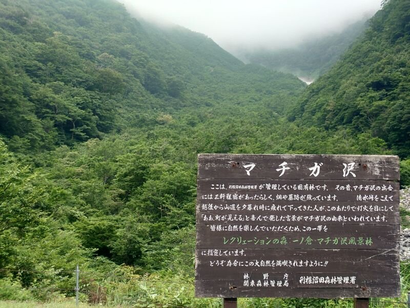 http://ayu2.com/naeba/naebaphoto/20250712_161023.jpg