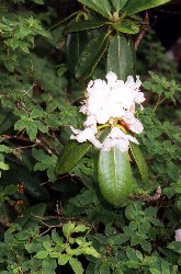 �����܂��Ⴍ�Ȃ�