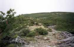 �{�[�R����̓�