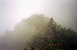 ���{���̓�