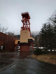 20250420_113001.jpg
