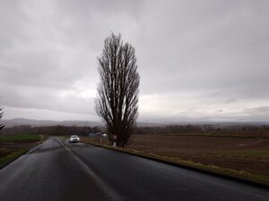 20250420_170927.jpg