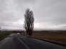 20250420_170927.jpg